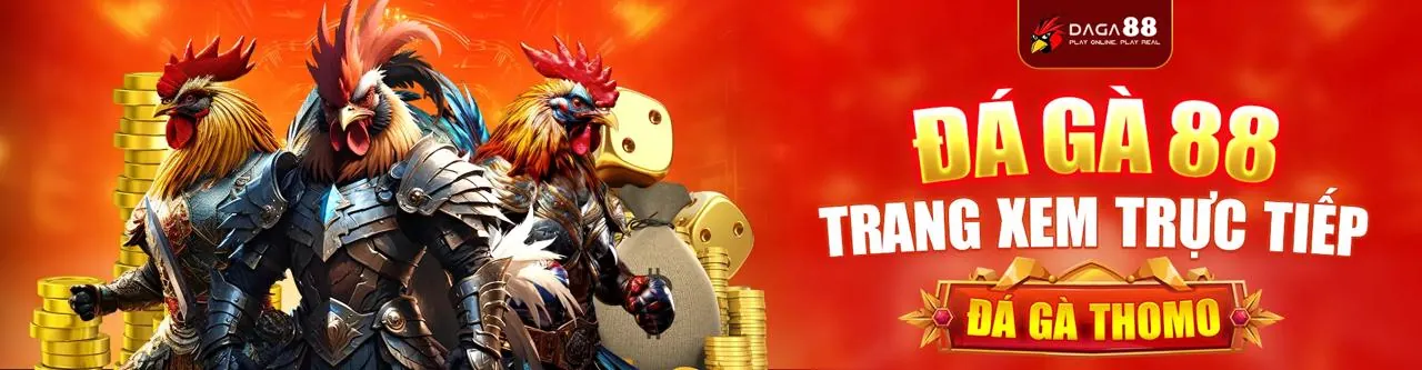 Đá Gà Trực Tuyến 55pw